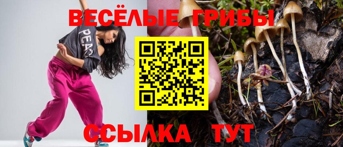 Псилоцибиновые грибы мицелий Чапаевск