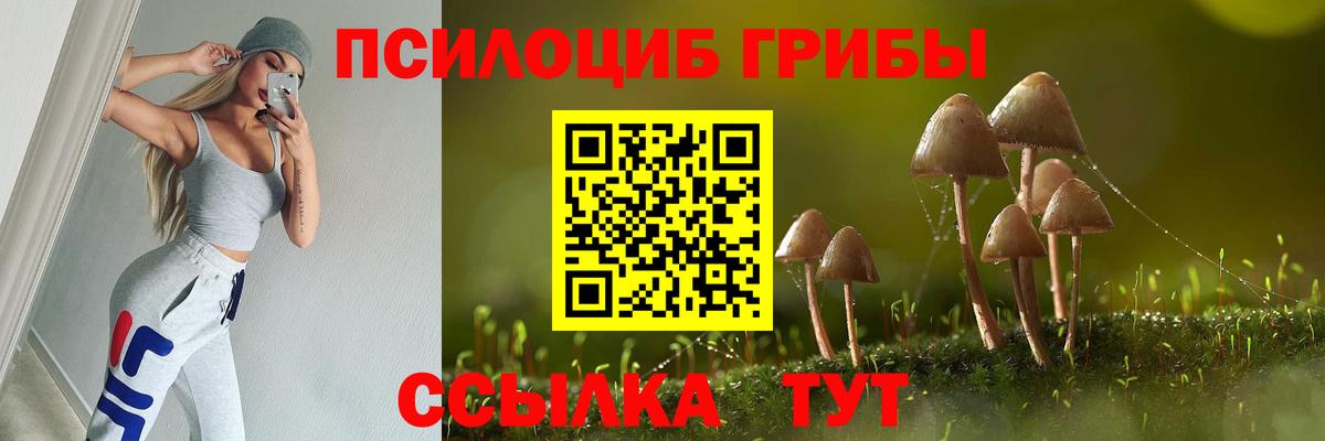 Псилоцибиновые грибы мухоморы  где найти   Чапаевск  Вход с VPN 